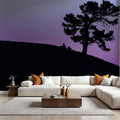 Limber Pine BW Mural Wallpaper - Blue Tone - room preview 02