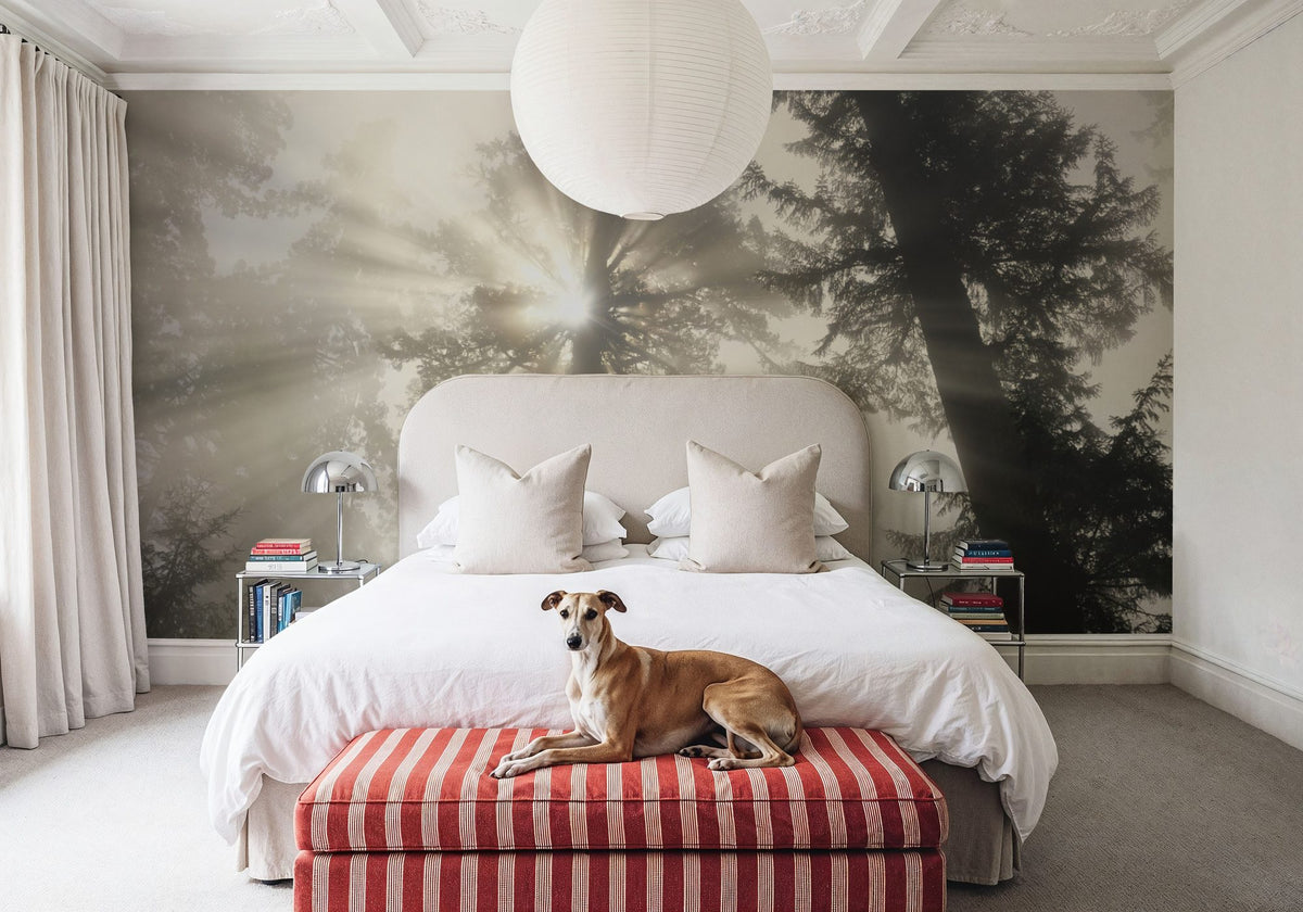 Mighty Redwood Mural Wallpaper - room preview 02