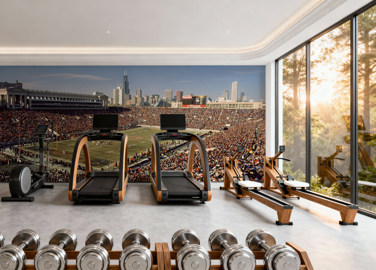 Stadium Glory Mural Wallpaper - room preview 02