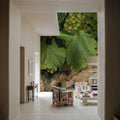 Napa Chardonnay Grapes Mural Wallpaper - room preview 02