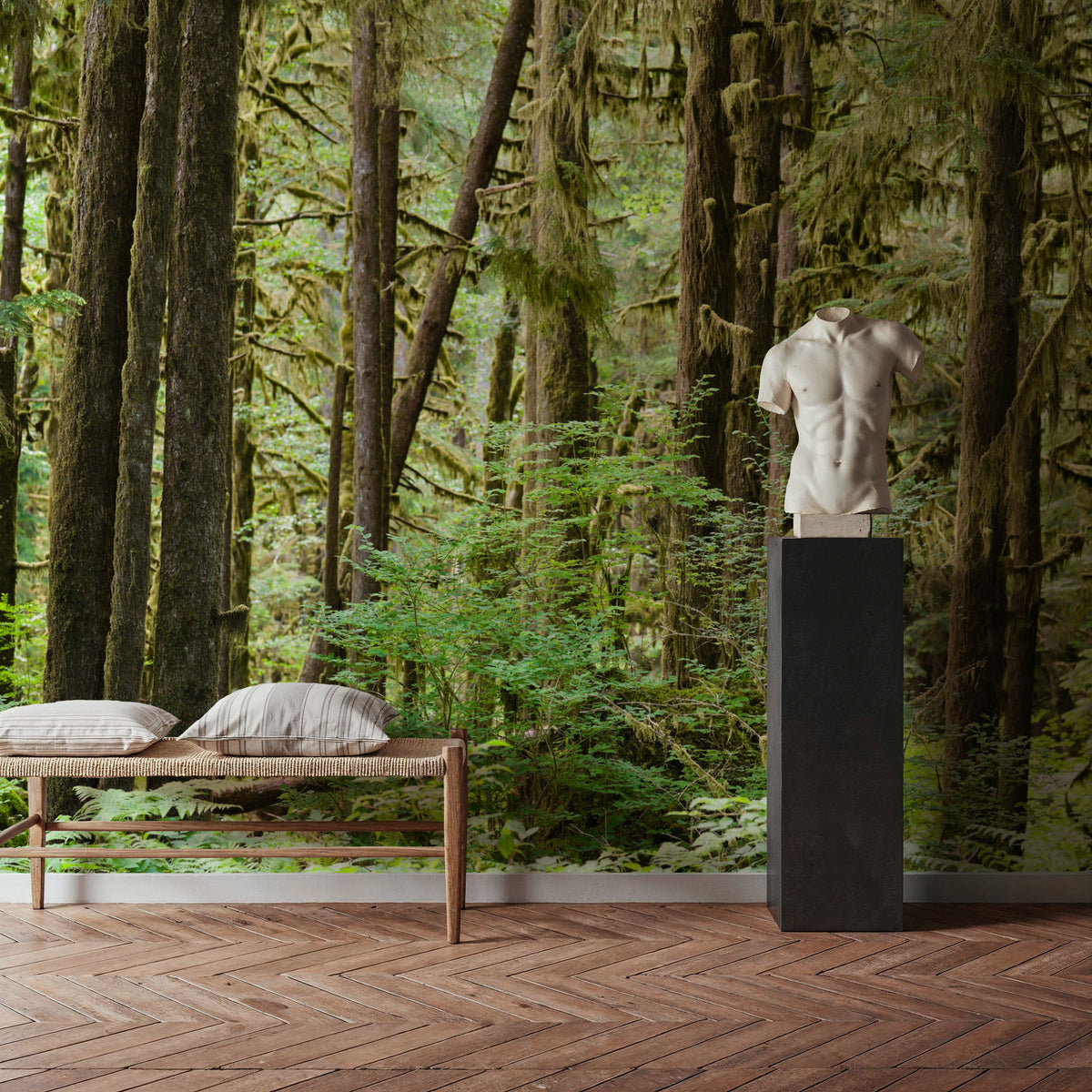 Bright Quinault Rainforest Mural Wallpaper - room preview 02