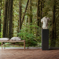 Bright Quinault Rainforest Mural Wallpaper - room preview 02