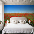 Crimson Poppy Field Mural Wallpaper - room preview 02