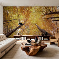 Autumn Canopy Glow Mural Wallpaper - room preview 02
