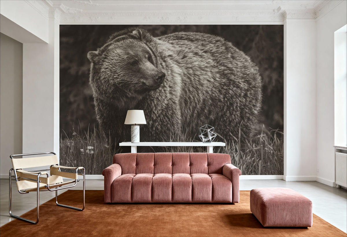 British Columbia Grizzly in a Field BW Mural Wallpaper - room preview 02