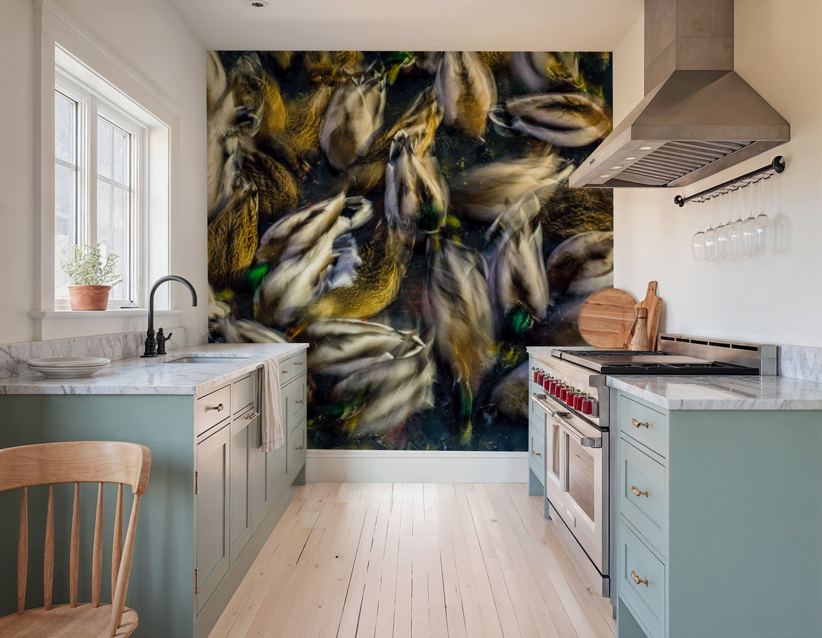 Long Exposure Ducks Mural Wallpaper - room preview 02