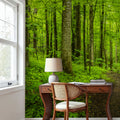 Emerald Woodland Path Mural Wallpaper - room preview 02