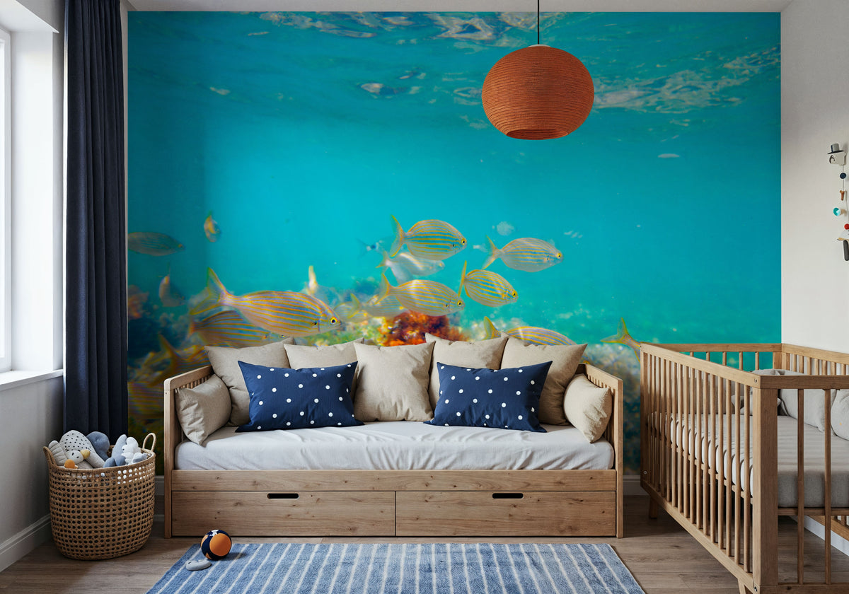 Salema Fish Mural Wallpaper - room preview 02