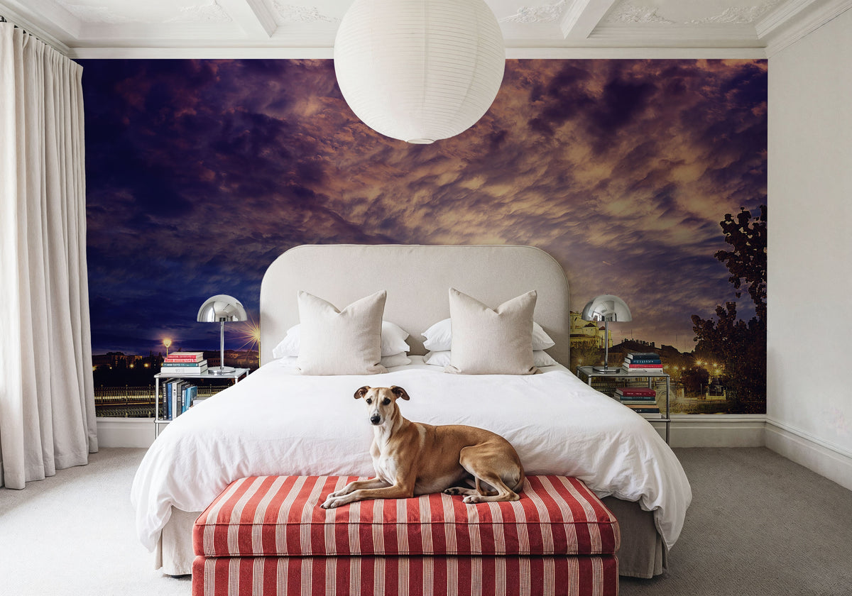 Salamanca Skyline Mural Wallpaper - room preview 02