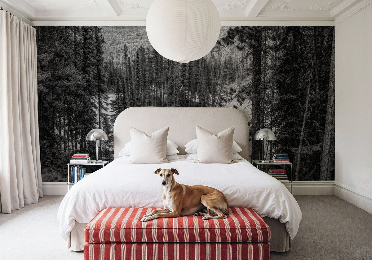 Sunwapta Falls BW Mural Wallpaper - room preview 02