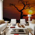 Pinus Flexilis Sunset Mural Wallpaper - room preview 02