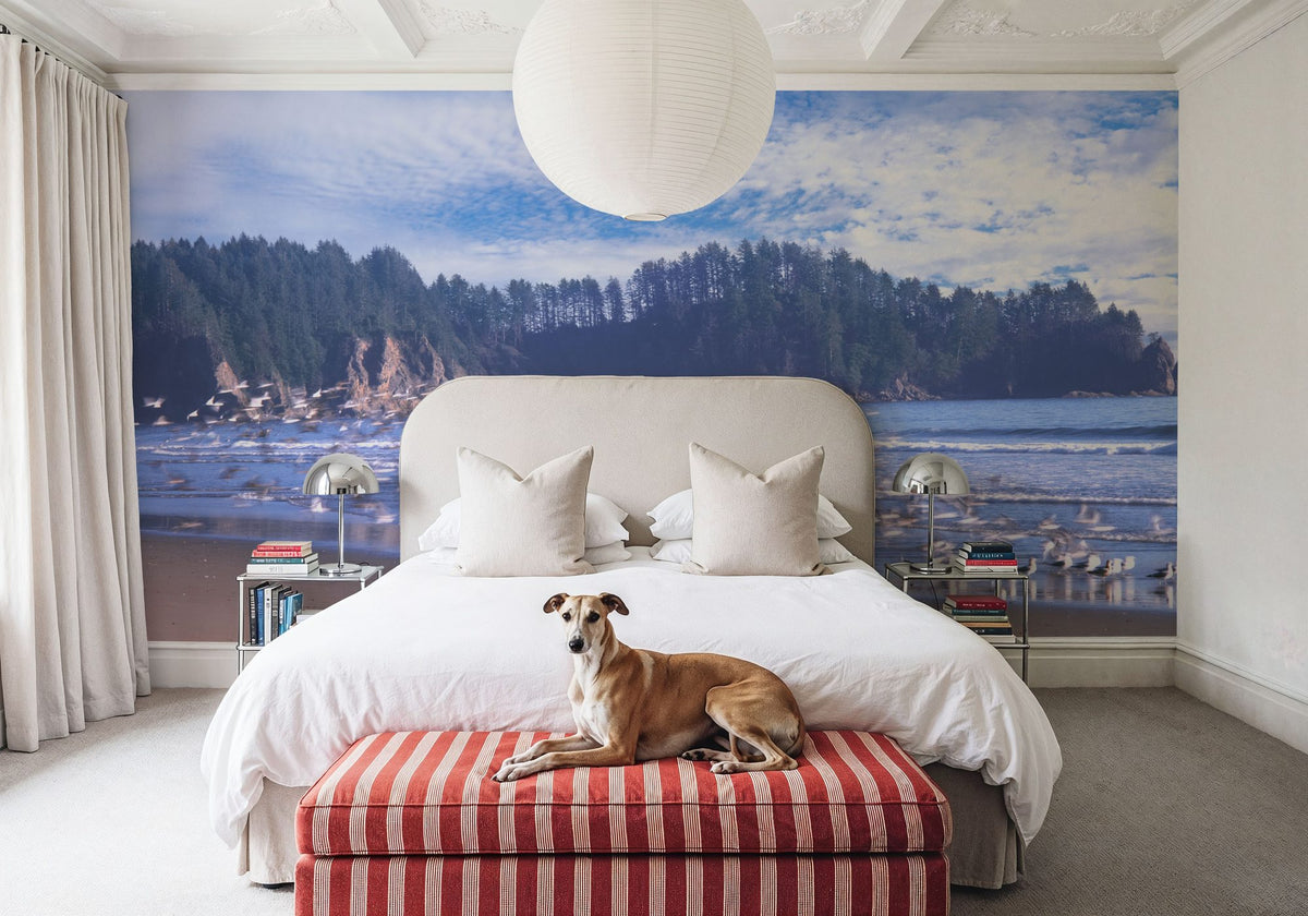 Seagull Beach Mural Wallpaper - room preview 02