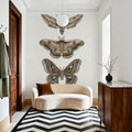 Spooky Halloween VIII Color Mural Wallpaper - room preview 02