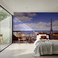Parisian Rooftop Vista Mural Wallpaper - room preview 02