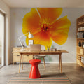Wonderful Wildflowers V Mural Wallpaper - room preview 02