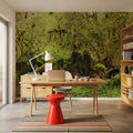 Old Maple Trees Mural Wallpaper - room preview 02