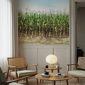 Corn Field Mural Wallpaper - room preview 02