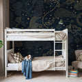 Moonlit Sky, Midnight Mural Wallpaper - room preview 02