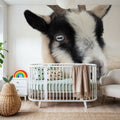 Pippa the Goat I Mural Wallpaper - room preview 02