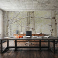 Winter Birch Forest Mural Wallpaper - room preview 02