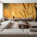 Crop Season Mural Wallpaper - room preview 02