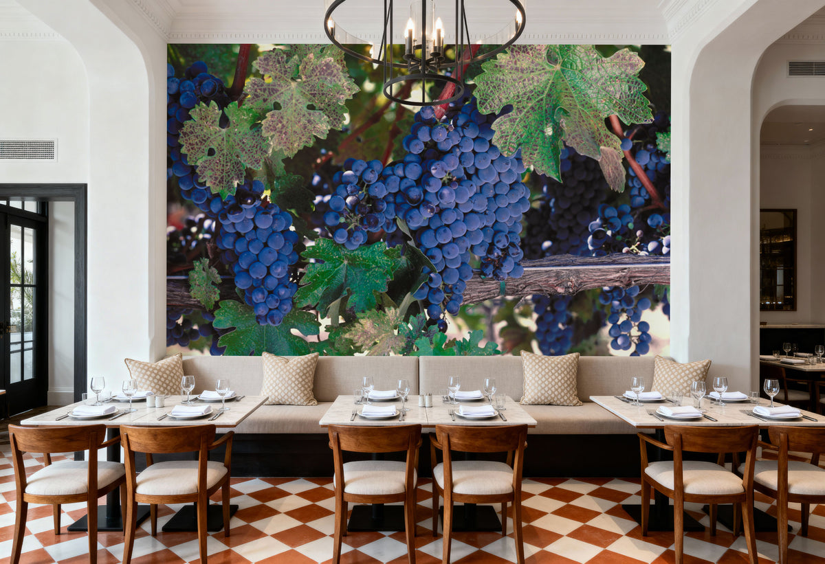 Expensive Grapes Mural Wallpaper - room preview 02