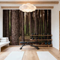 Dark Pine Forest Mural Wallpaper - room preview 02