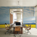 Skagit Valley Daffodils Mural Wallpaper - room preview 02