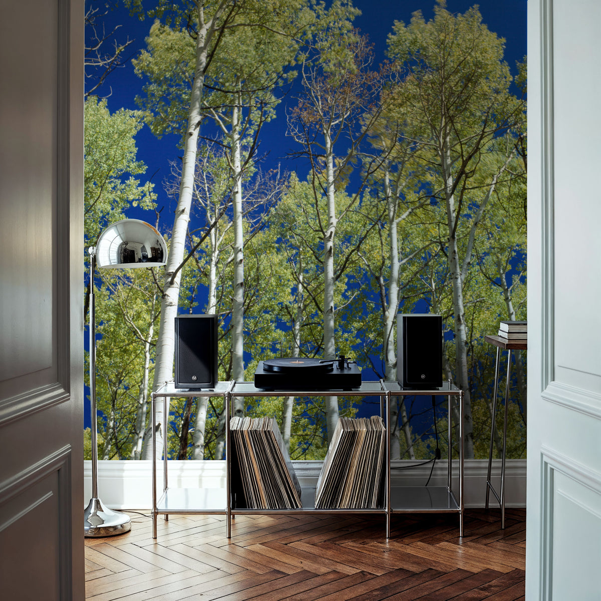 Cobalt Birch Forest Mural Wallpaper - room preview 02