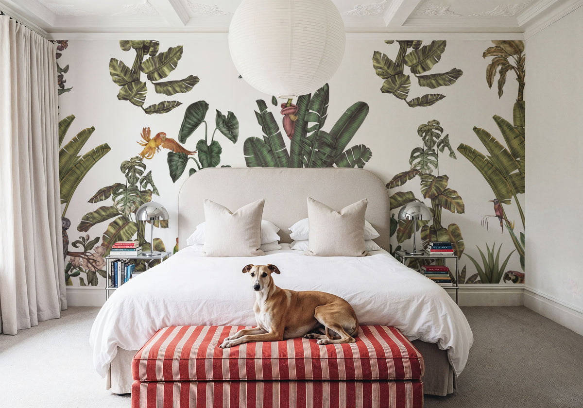 Parrots Jungle, Green Mural Wallpaper - room preview 02