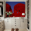 Elephant Rocks Mural Wallpaper - room preview 02