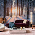 Snowy Woods At Sunset Mural Wallpaper - room preview 02