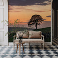 Sunset Sentinel Mural Wallpaper - room preview 02