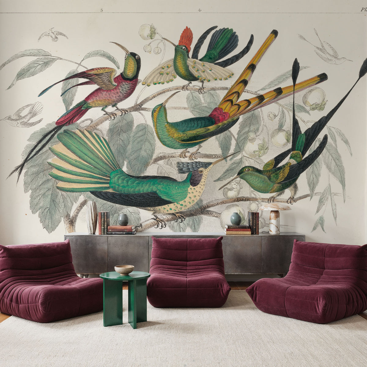 Hummingbird Study Mural Wallpaper - room preview 02