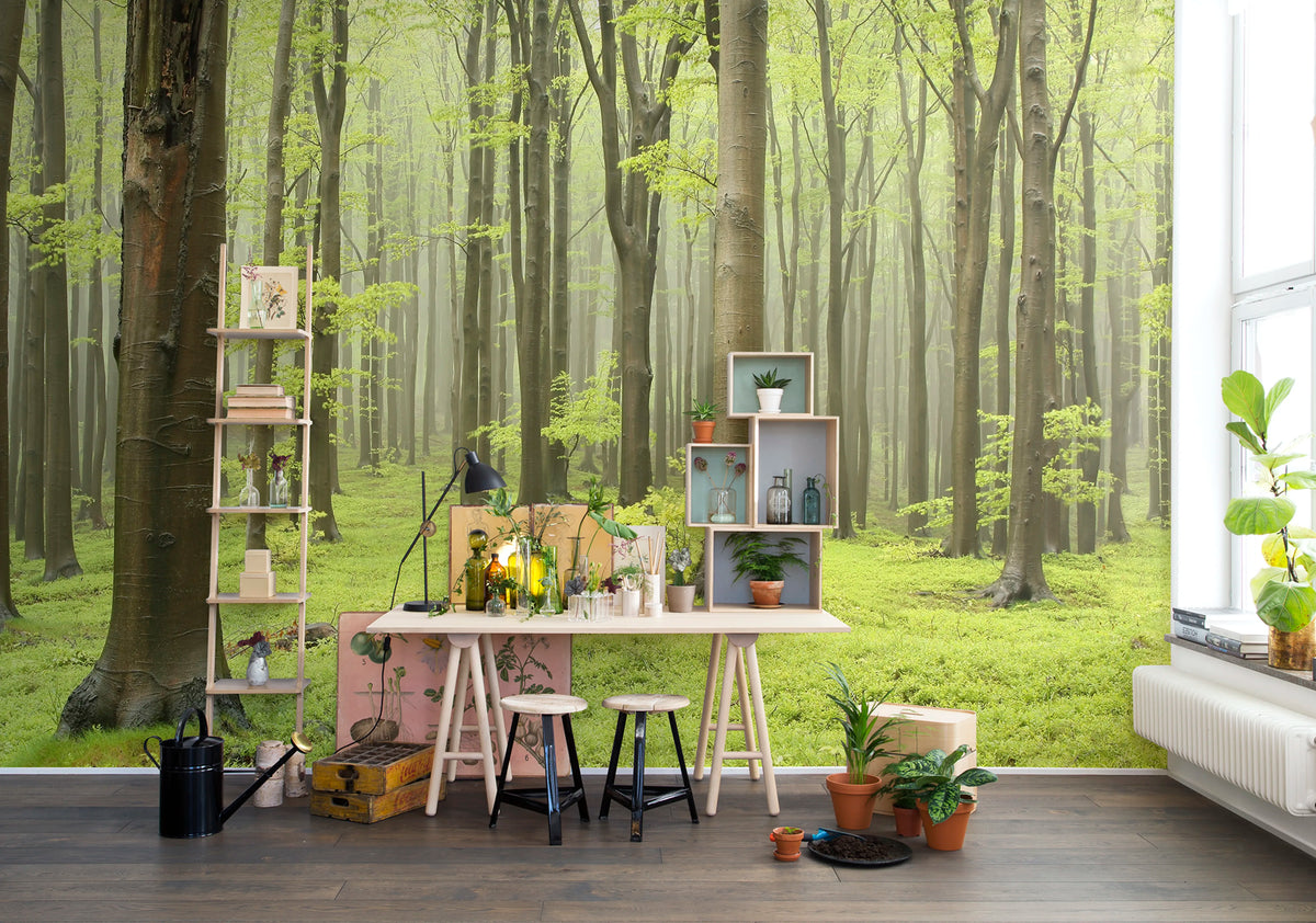 Deciduous Forest Mural Wallpaper - room preview 02