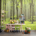 Deciduous Forest Mural Wallpaper - room preview 02