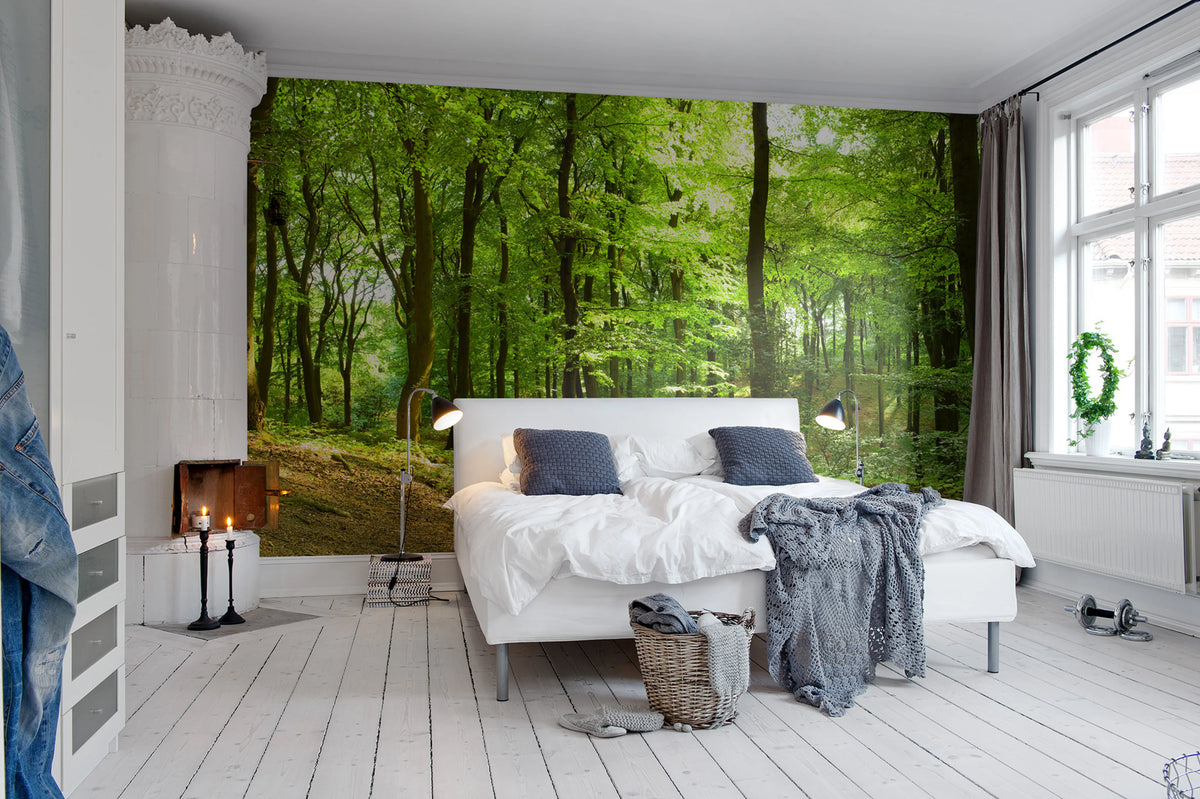Forest Mural Wallpaper - room preview 02