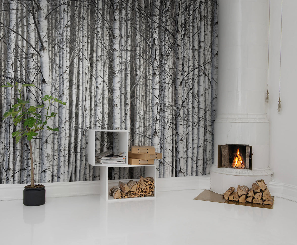 Birch Trunks Mural Wallpaper - room preview 02