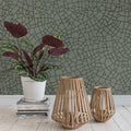 Raku Crackle, Jade Mural Wallpaper - room preview 02