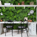 Clover Mural Wallpaper - room preview 02