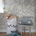 Star Map, White Mural Wallpaper - room preview 02