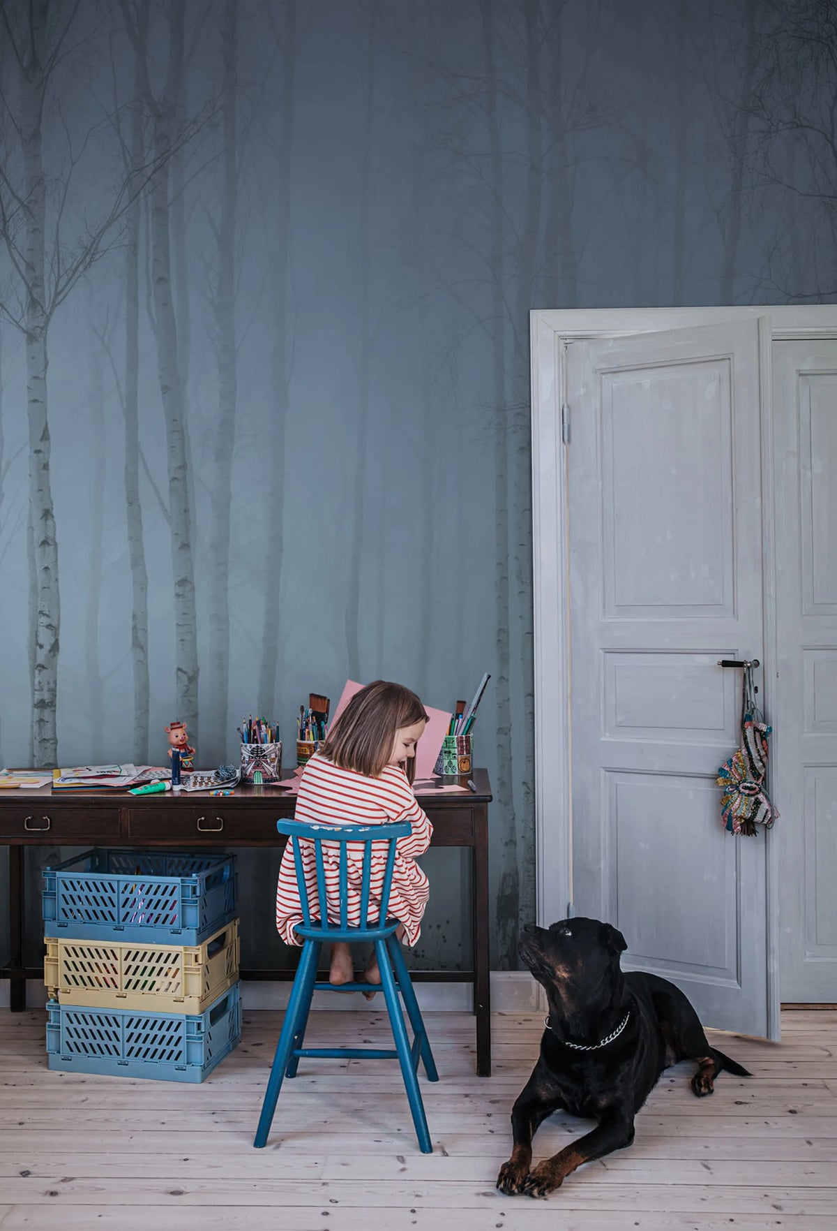 Birch Fog, Blue Mural Wallpaper - room preview 02