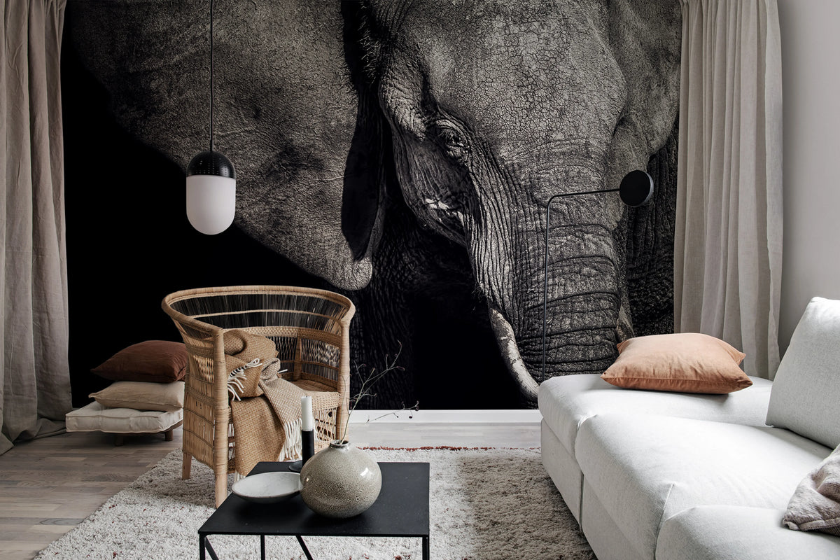 Elephant Mural Wallpaper - room preview 02