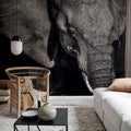 Elephant Mural Wallpaper - room preview 02
