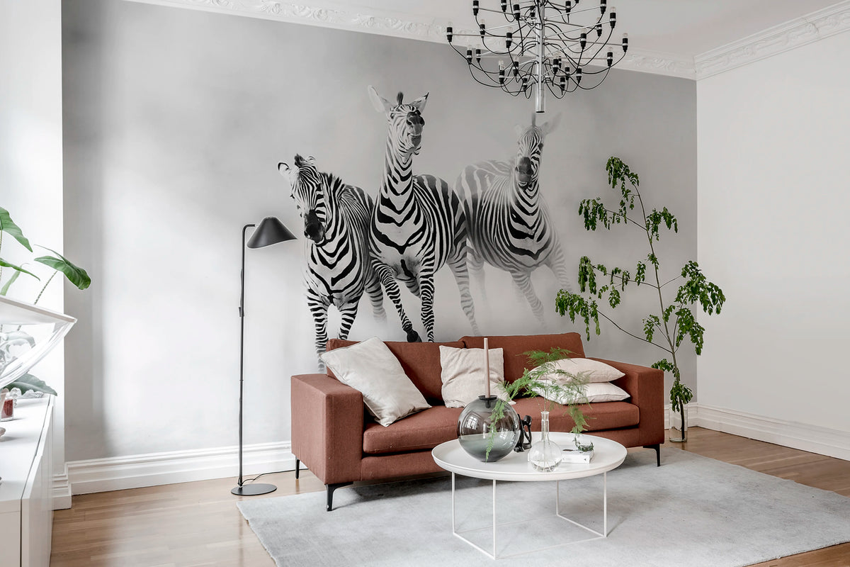 Graphic Zebras Mural Wallpaper - room preview 02