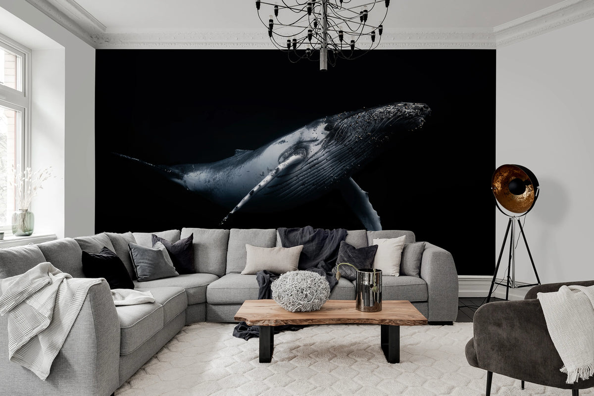 Black Whale Mural Wallpaper - room preview 02
