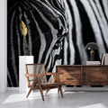 Close Up Zebra Mural Wallpaper - room preview 02