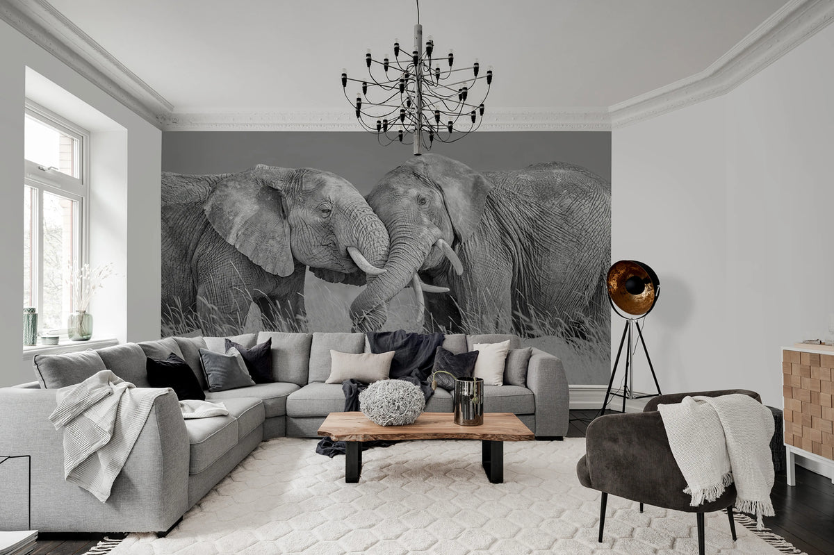 Elephant Hug Mural Wallpaper - room preview 02