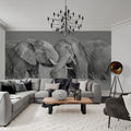 Elephant Hug Mural Wallpaper - room preview 02