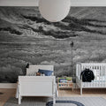 Balloon in the Sky, Graphite Mural Wallpaper - room preview 02